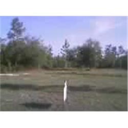 Property #4 Princess Auction