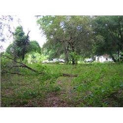 Property #5 Robinson Auction