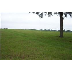 Property #7 McKoy Auction