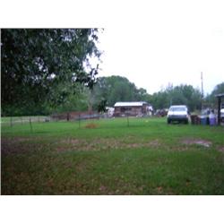 Property #8 Taylor Auction