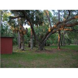 Property #10 Markham Auction