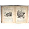 Image 3 : "Picturesque America", Volumes 1 and 2 Edited by William Cullen Bryant, with Dozens of Large Engrave