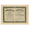 Image 1 : Binyan Haaretz Ltd., 1924, I/U Stock Certificate