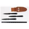 Image 1 : THROWING KNIFE SET IN HOLDER