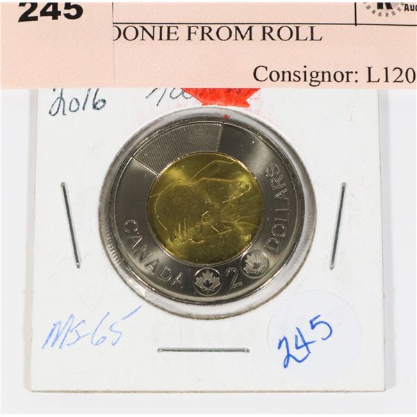 2016 TOONIE FROM ROLL