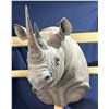 Image 3 : Black Rhino Zambian Shoulder Mount With Import Papers 1977