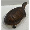 Image 3 : Preserved Tortoise 4x7