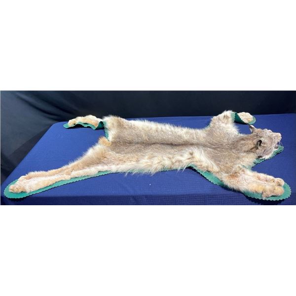 Lynx Taxidermy Full Rug Mount 58L