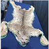 Image 3 : Lynx Taxidermy Full Rug Mount 58L