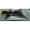 Image 1 : Black Bear Taxidermy Full Rug Mount 75L
