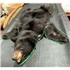 Image 3 : Black Bear Taxidermy Full Rug Mount 75L