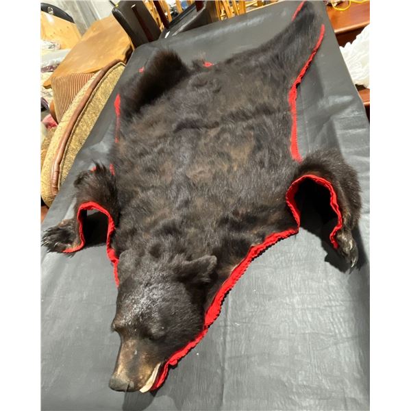 Black Bear Taxidermy Full Rug Mount 77L