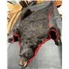 Image 1 : Black Bear Taxidermy Full Rug Mount 77L