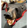 Image 2 : Black Bear Taxidermy Full Rug Mount 77L