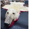 Image 3 : Polar Bear Taxidermy Full Rug Mount 95L