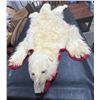 Image 4 : Polar Bear Taxidermy Full Rug Mount 95L