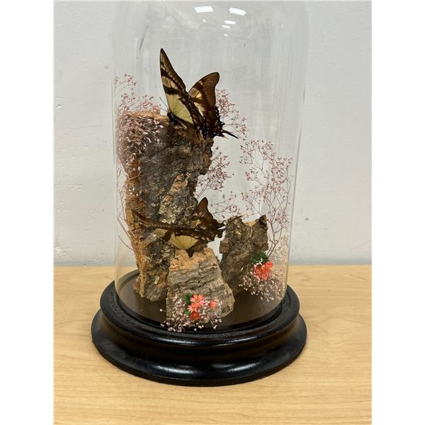 Butterfly Terrarium - Bell Shaped Glass Dome - About 12"T & 7"W - see photos