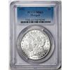 Image 1 : 1921 $1 Morgan Silver Dollar Coin PCGS MS63
