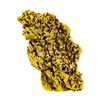 Image 1 : 17.38 Gram Gold Nugget