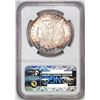 Image 2 : 1880 8/7 CC Top-100 Vam-6 Low 7 $1 Morgan Silver Dollar Coin NGC MS63 Amazing Toning