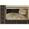 Image 1 : .95 TROY OZ. PF STERLING SILVER SPACE INGOT