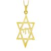 Image 2 : 14K Gold Reversible Large Dual Finish Star of David Chai Center Pendant Necklace