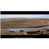 Image 5 : 67. Matthew Yuricich Collection:Hand-Painted Matthew Yuricich Open Plains Buffalo Trail Matte Painti