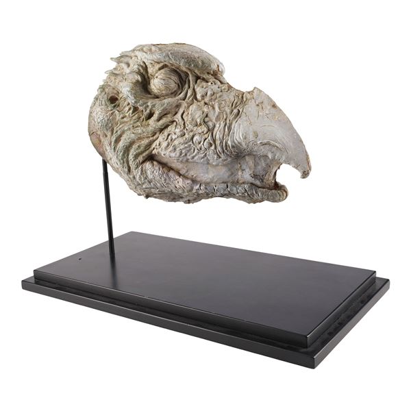 97. Production-Made SkekSil the Chamberlain (Frank Oz) Puppet Head Reference Casting ### THE DARK CR
