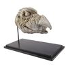 Image 1 : 97. Production-Made SkekSil the Chamberlain (Frank Oz) Puppet Head Reference Casting ### THE DARK CR