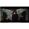Image 13 : 103. Cable-Controlled Animatronic Angel Wings ### DOGMA (1999)