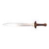 Image 8 : 148. Maximus Decimus Meridius' (Russell Crowe) Training Costume with Moroccan Sword ### GLADIATOR (2