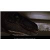 Image 12 : 190. Velociraptor Eye Display ### JURASSIC PARK (1993)