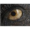 Image 5 : 192. T-Rex Eye Reference Eye in Socket Display ### JURASSIC PARK (1993)