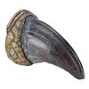 Image 2 : 193. Tyrannosaurus Rex Toenail ### JURASSIC PARK (1993)
