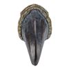 Image 3 : 193. Tyrannosaurus Rex Toenail ### JURASSIC PARK (1993)