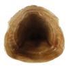 Image 5 : 193. Tyrannosaurus Rex Toenail ### JURASSIC PARK (1993)