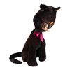 Image 2 : 203. Boo Boo Kitty ### LAVERNE AND SHIRLEY (T.V. SERIES, 1976 - 1983)
