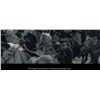 Image 8 : 248. Napoleon's (Joaquin Phoenix) Hero Sword and Scabbard ### NAPOLEON (2023)