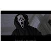 Image 15 : 280. Billy Loomis' (Skeet Ulrich) and Stu Macher's (Matthew Lillard) Screen-Matched Ghostface Costum