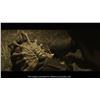 Image 15 : 517. Xenomorph Facehugger ### ALIEN: COVENANT (2017)
