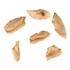 Image 1 : 625. Set of Six Bitten-Off Nihilist (Peter Stormare) Ear Pieces ### THE BIG LEBOWSKI (1998)