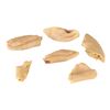 Image 2 : 625. Set of Six Bitten-Off Nihilist (Peter Stormare) Ear Pieces ### THE BIG LEBOWSKI (1998)