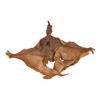 Image 2 : 699. Flying Pterodactyl Puppet and Tyrannosaurus Reference Maquette ### CLIFFORD (1994)