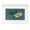 Image 1 : 704. Hand-Painted Ralph McQuarrie Alien in a Pod Painting ### COCOON (1985)
