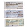 Image 1 : 818. Set of Three Production-Made Tyler Durden (Brad Pitt) Boarding Passes ### FIGHT CLUB (1999)