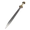Image 7 : 897. Commodus' (Joaquin Phoenix) Final Battle Sword Replica ### GLADIATOR (2000)
