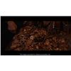 Image 8 : 916. Set of One-Eyed Willy's Coins and Treasure ### THE GOONIES (1985)
