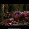 Image 3 : 966. Antie Reference Model ### HONEY, I SHRUNK THE KIDS (1989)