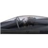 Image 18 : 981. Black Knights F/A-18 Fighter Jet Model Miniature ### INDEPENDENCE DAY (1996)