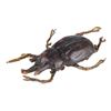Image 1 : 992. Pankot Palace Banquet Beetle ### INDIANA JONES AND THE TEMPLE OF DOOM (1984)